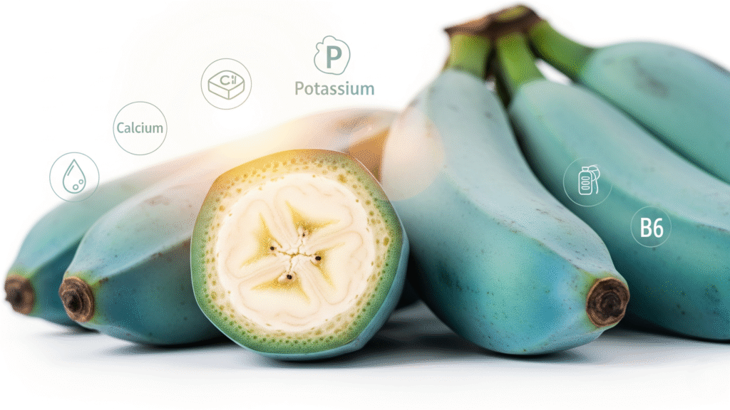 Blue Java Banana Benefits