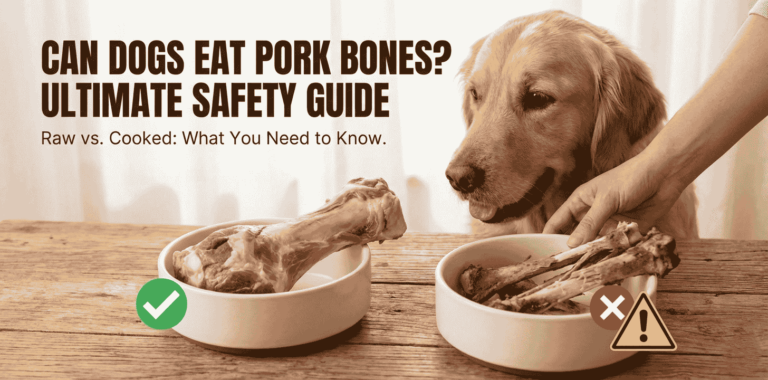Can Dogs Eat Pork Bones? Ultimate Safety Guide
