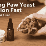 Dog Yeast Infection on paw