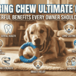 dog ring chew