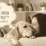 Do Dogs Know What I Love You Means