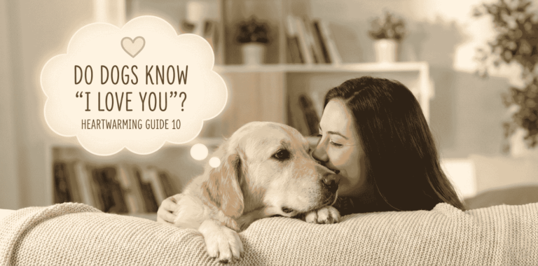 Do Dogs Know What I Love You Means – Heartwarming Guide 10