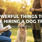 Things to Ask Before Hiring a Dog Trainer
