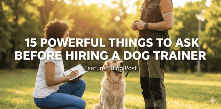 Things to Ask Before Hiring a Dog Trainer