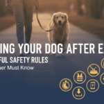 Walking a Dog After Eating