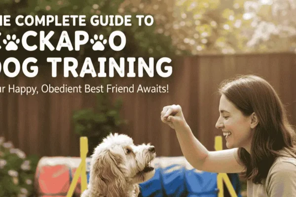 cockapoo dog training