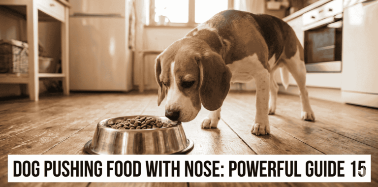Dog Pushing Food With Nose: Powerful Guide 15