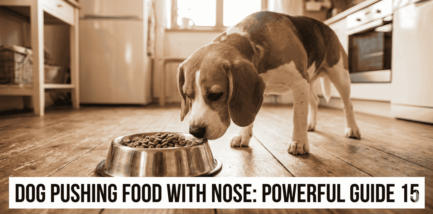 dog pushing food with nose