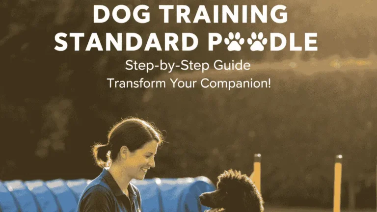 dog training standard poodle